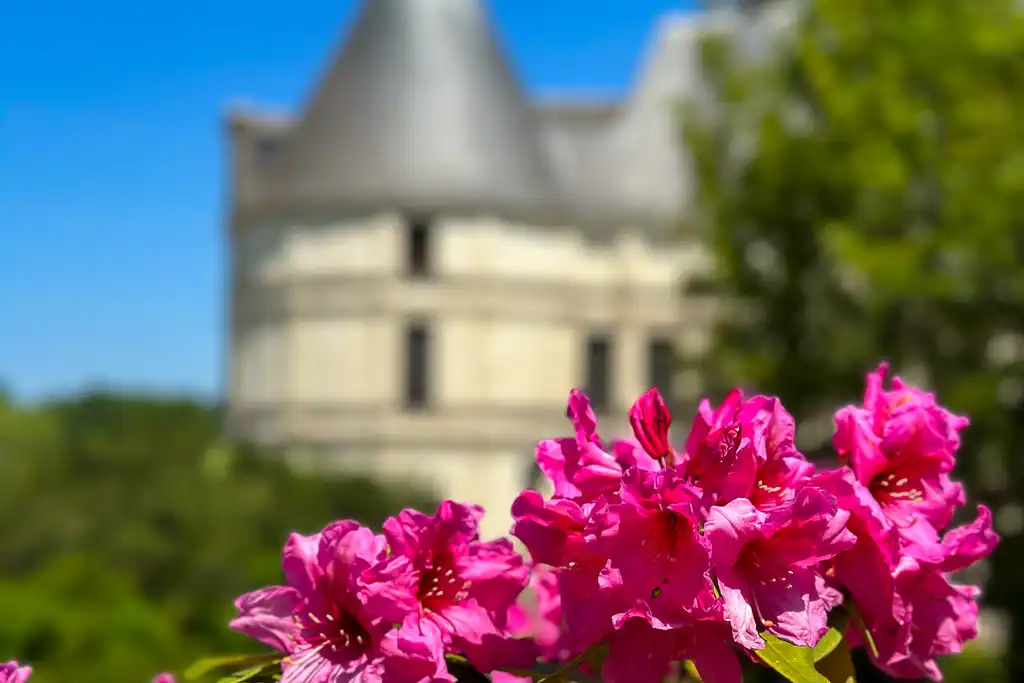 loire-schlösser-architektur-blume