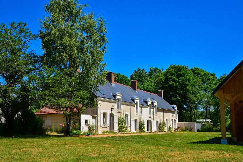 Ein Baum im Garten des Gutshofs in der Loire