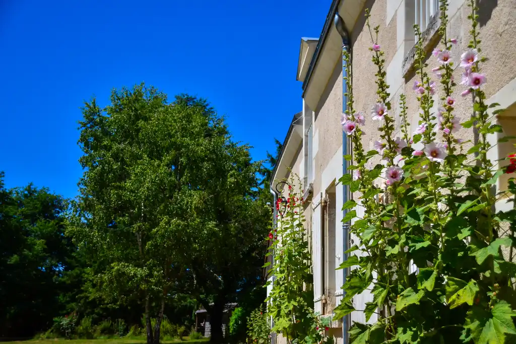 Blumen vor dem Gutshof in der Loire