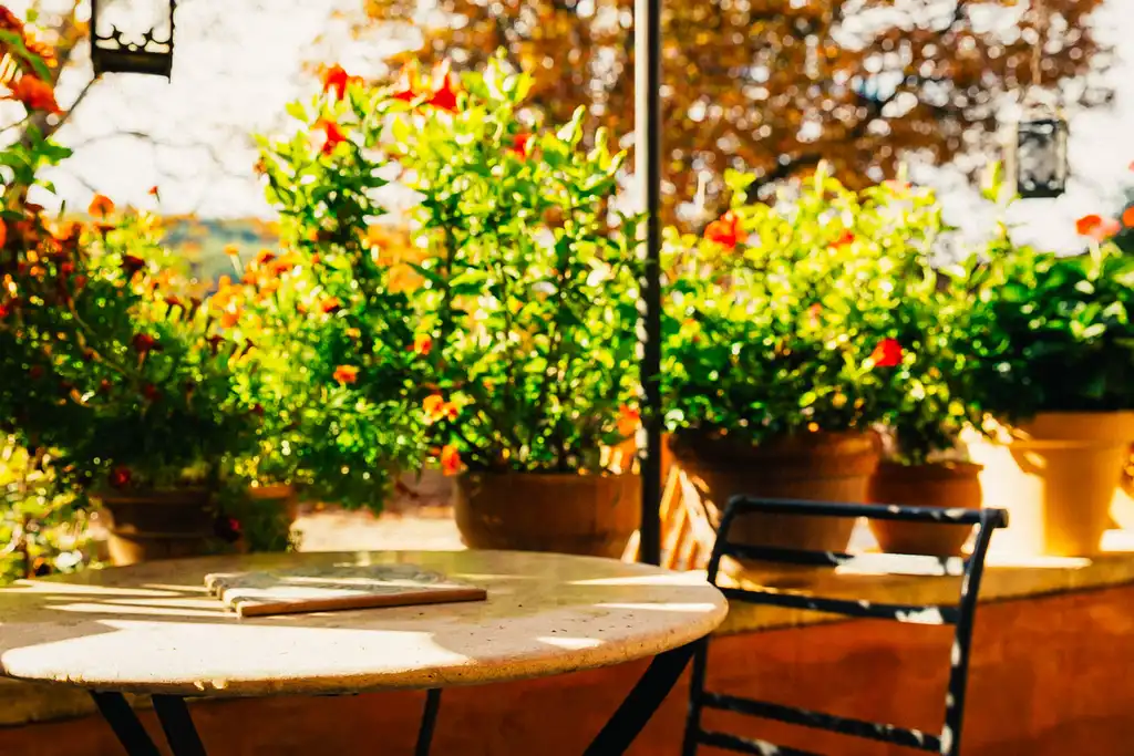 provence-sonstiges-tisch