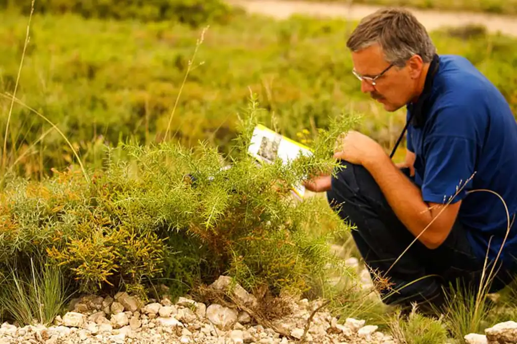 Urlaub Frankreich wandern