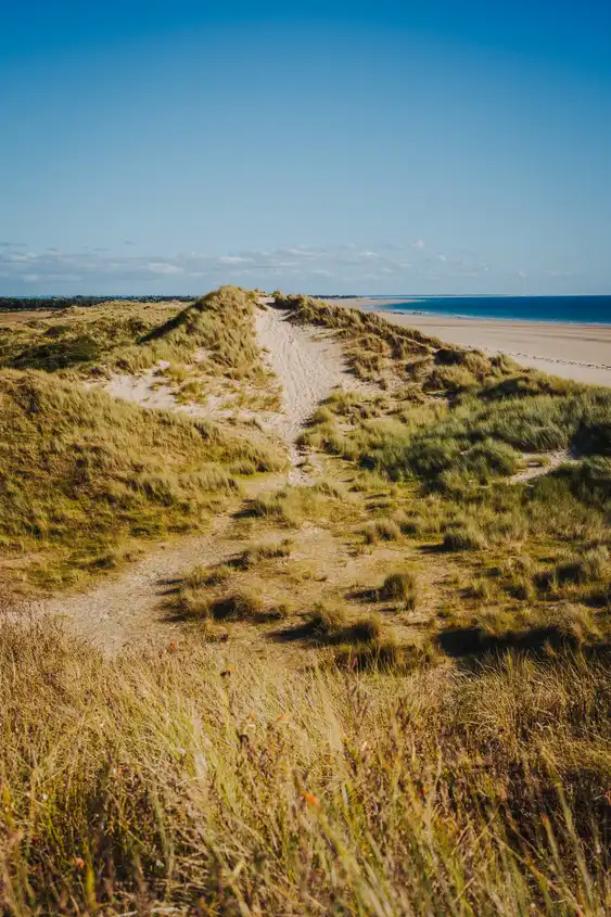 Teilweise mit Gras bewachsene Dünen am Strand in der Normandie