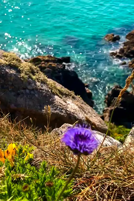 bretagne-landschaft-meer