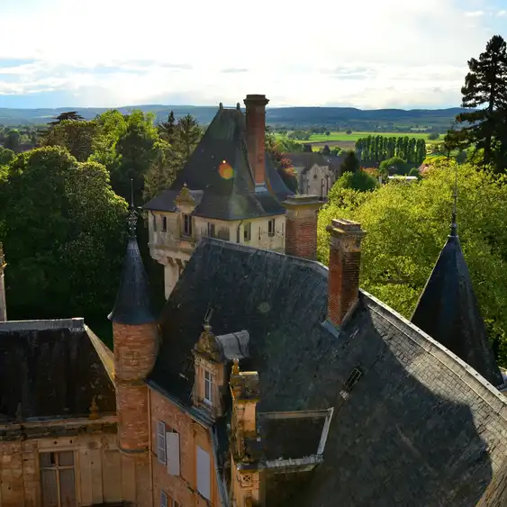 Das Dach des Schlosses im Burgund mit der schönen Landschaft im Hintergrund