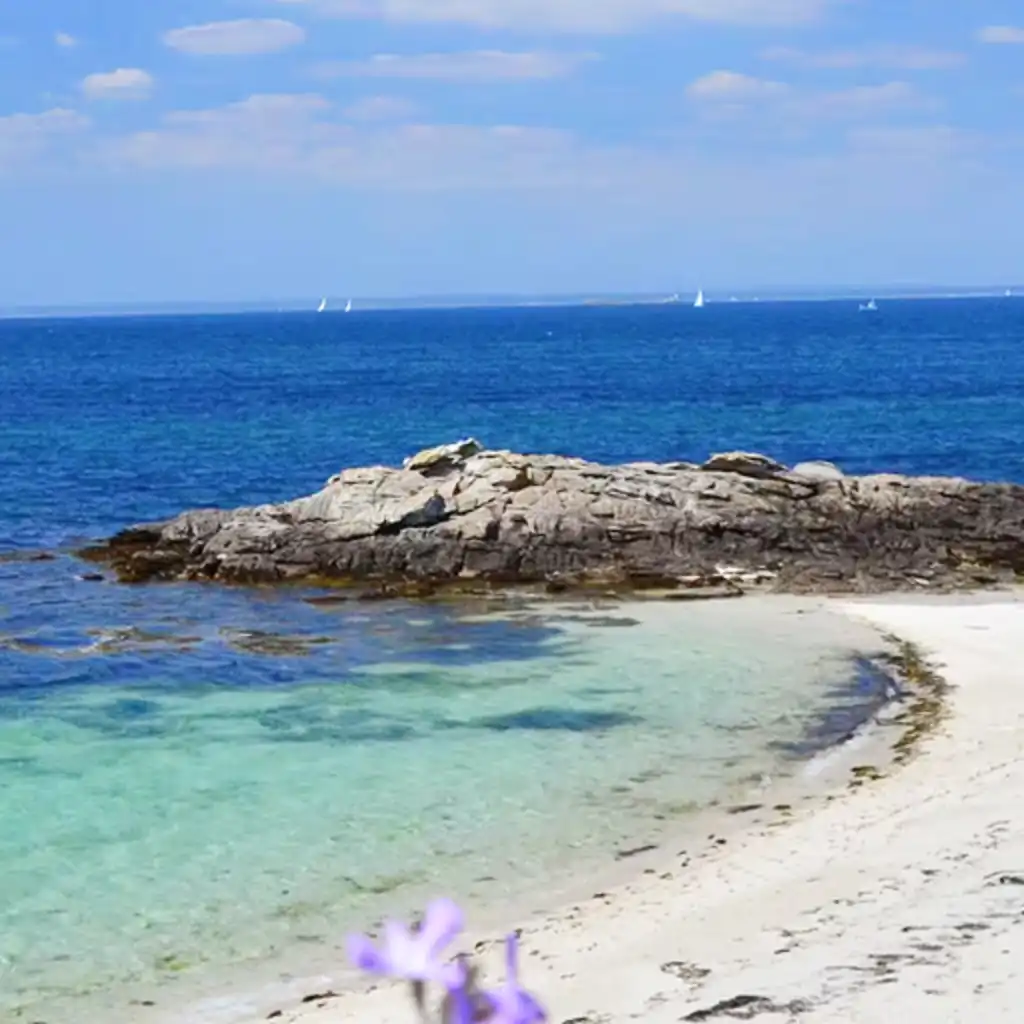 Ein Sandstrand vor blauem Meer