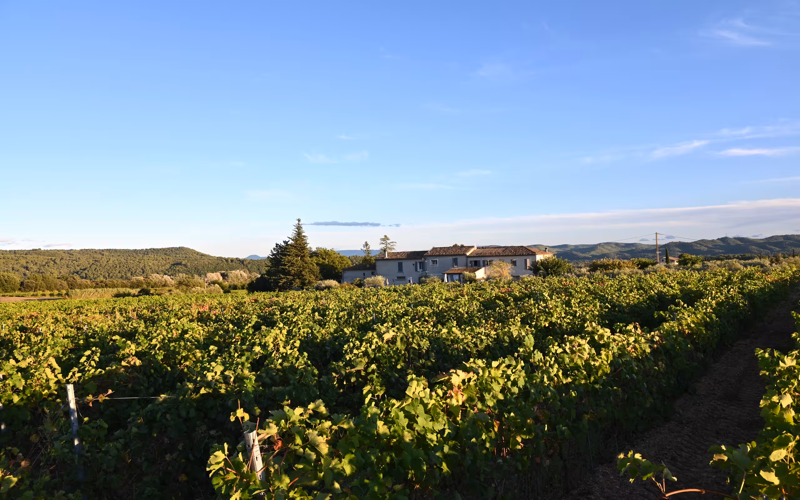 provence-unterkunft-landschaft