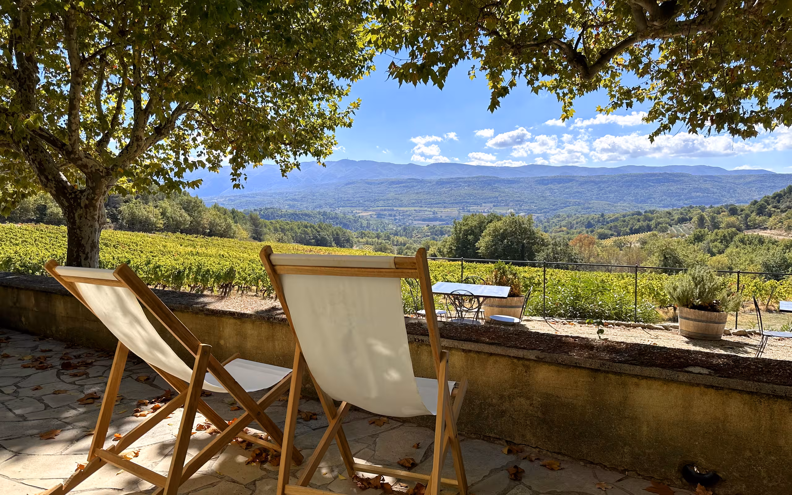 Provence-Urlaub-Tipp-Liegestuehle