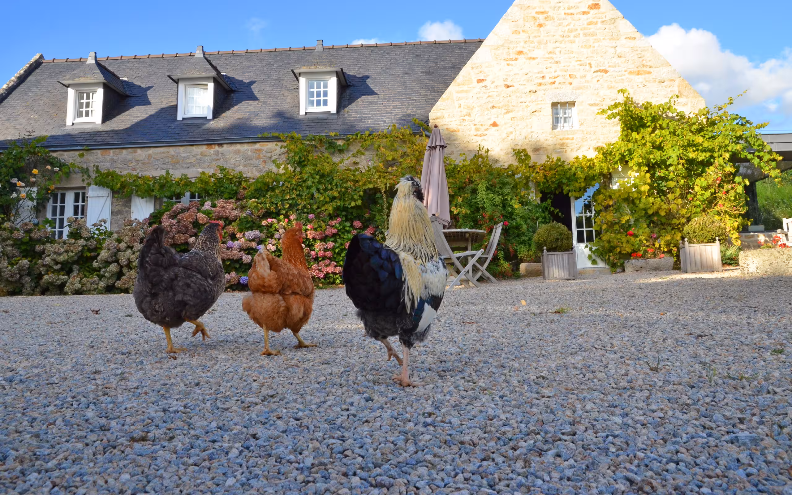 bretagne-unterkunft-finistere