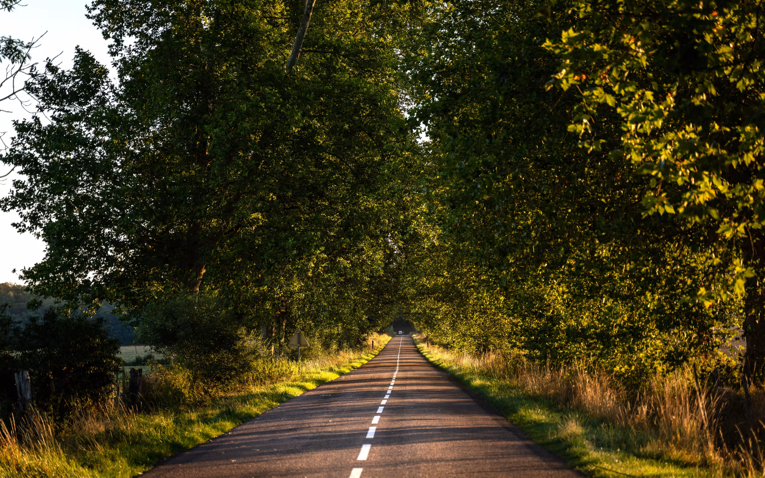 Eine schöne Landstraße im Burgund die durch ein mit Bäumen bewachsenes Gebiet führt