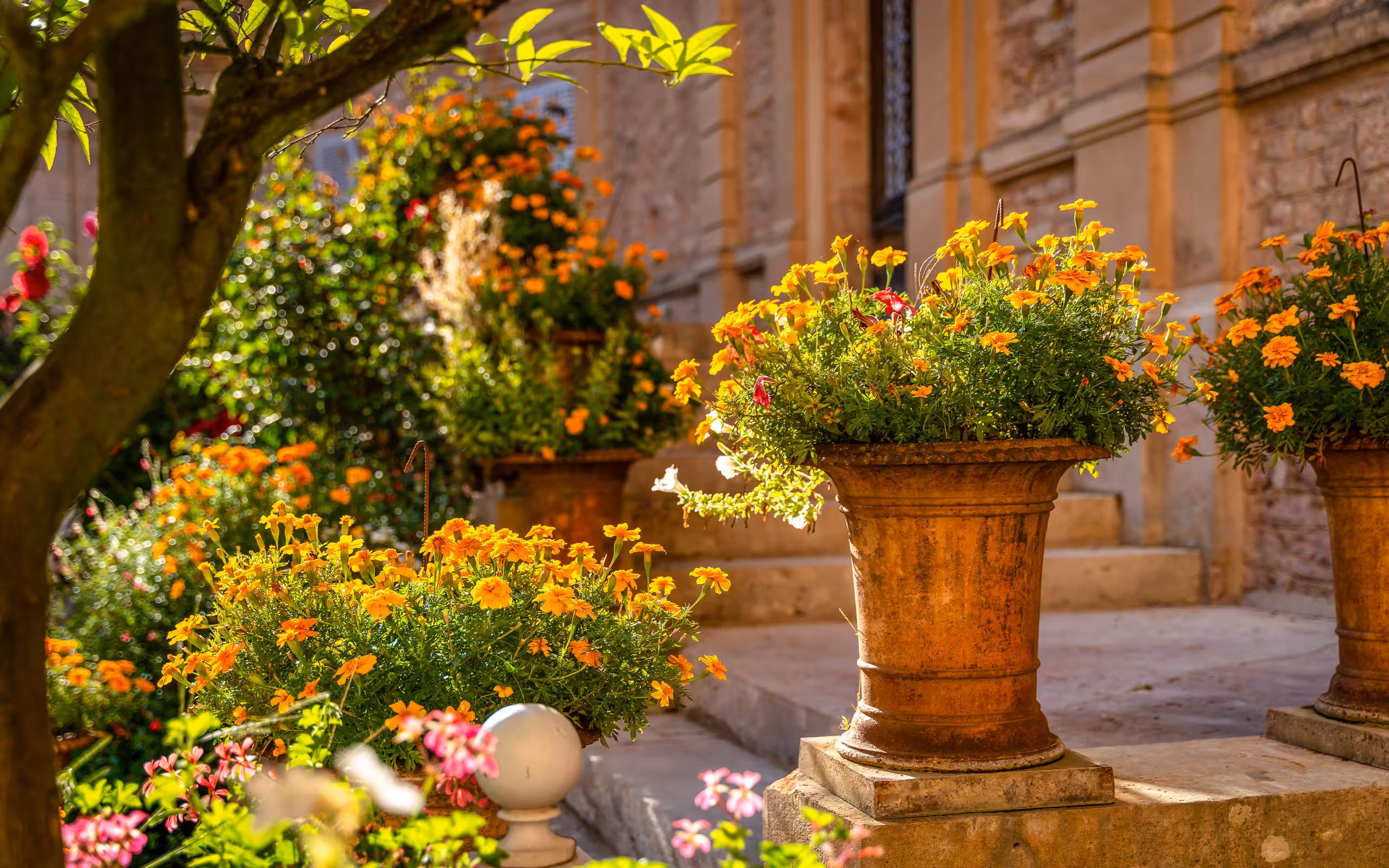 Viele schöne bunte Blumen vor dem Schloss im Burgund