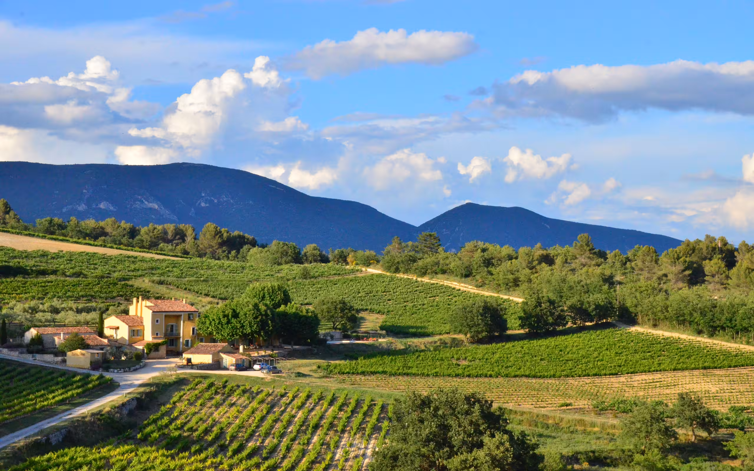 provence-landschaft-rundreise