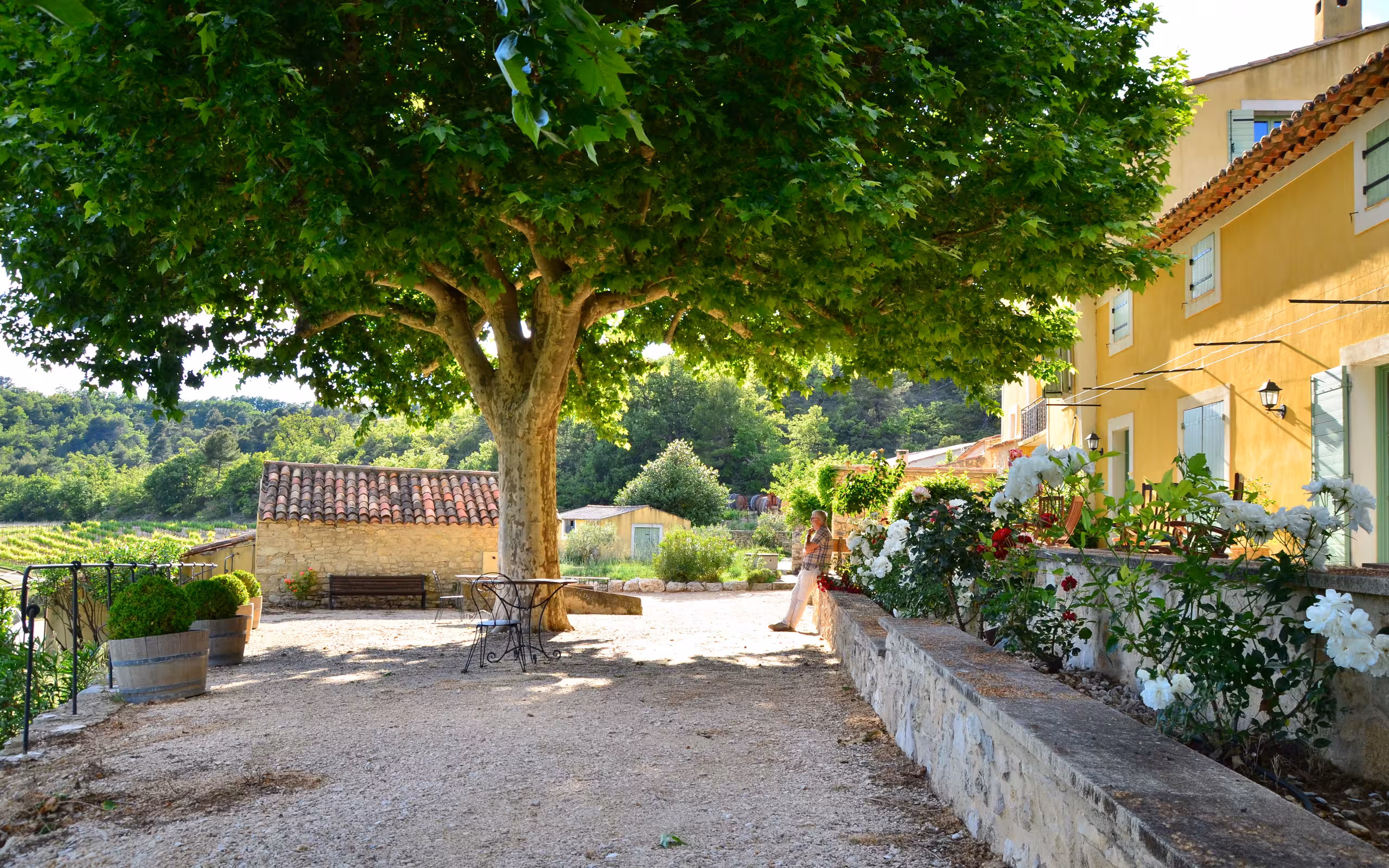 provence-unterkunft-apt