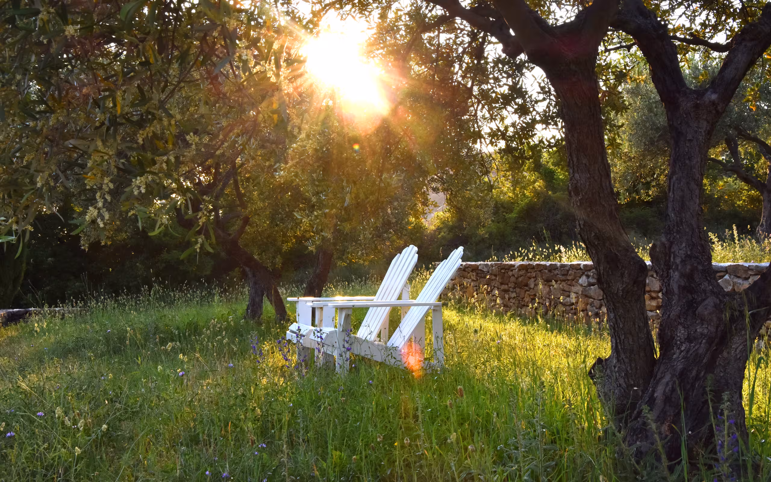 provence-unterkunft-garten