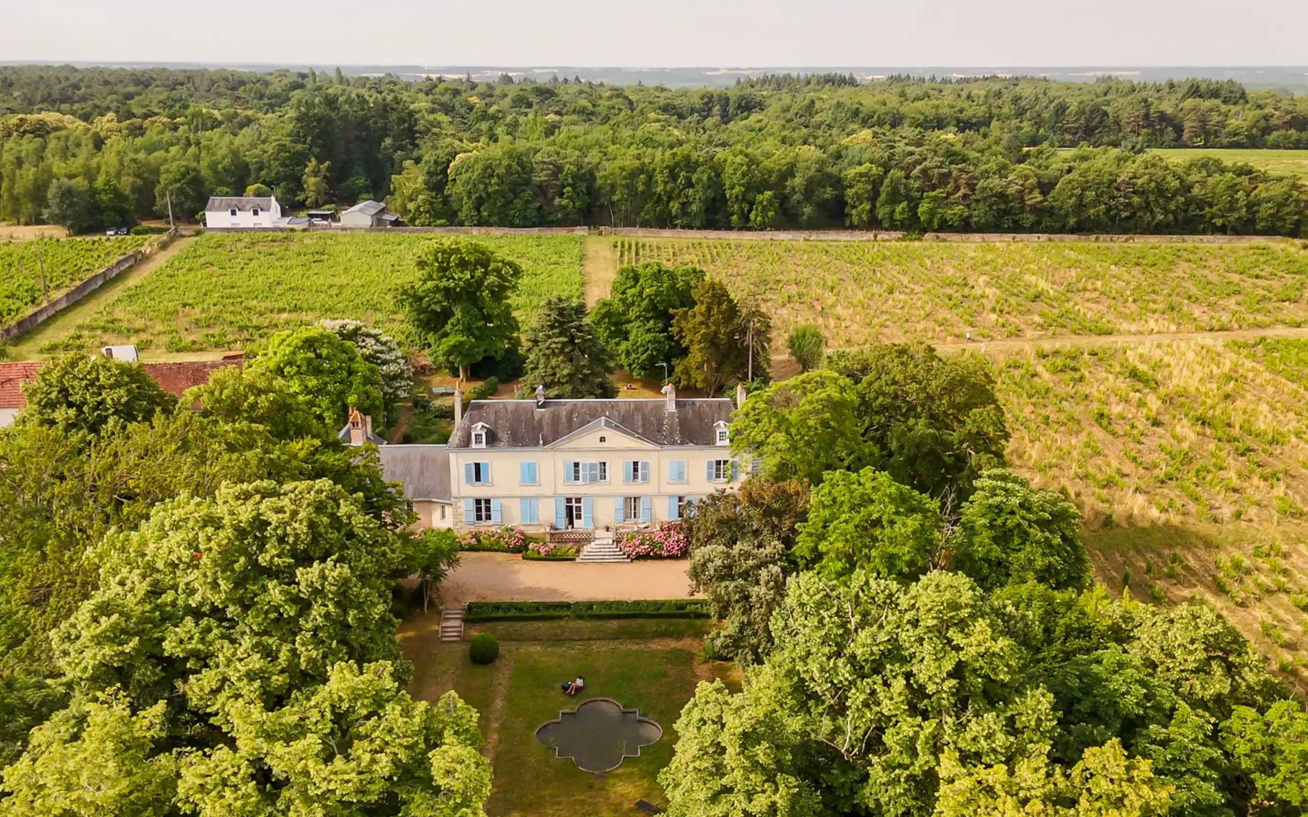 Ein Herrenhaus inmitten von Weinreben aus der Luft fotografiert