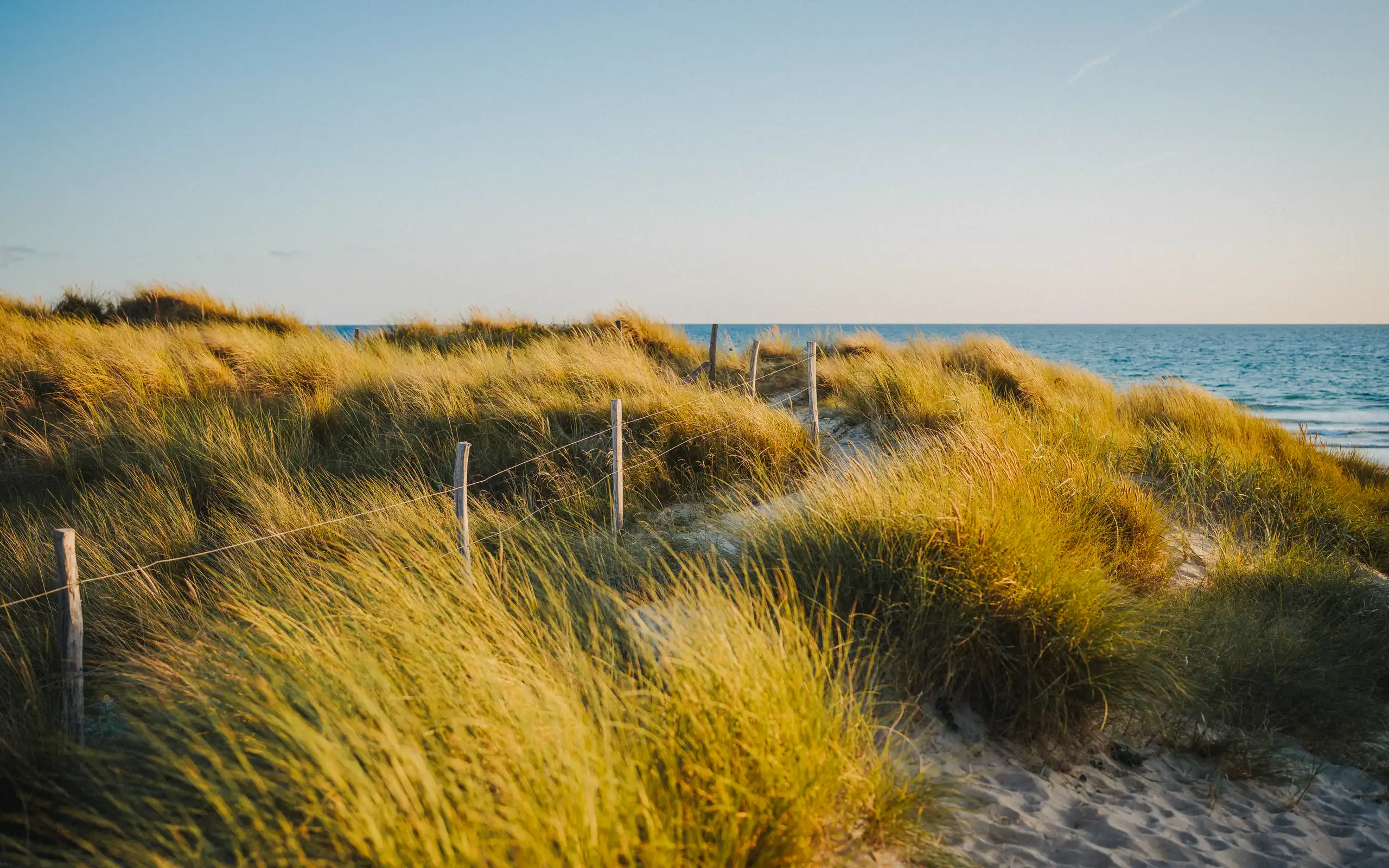 Eine mit Gräsern bewachsene Düne am Strand in der Normandie
