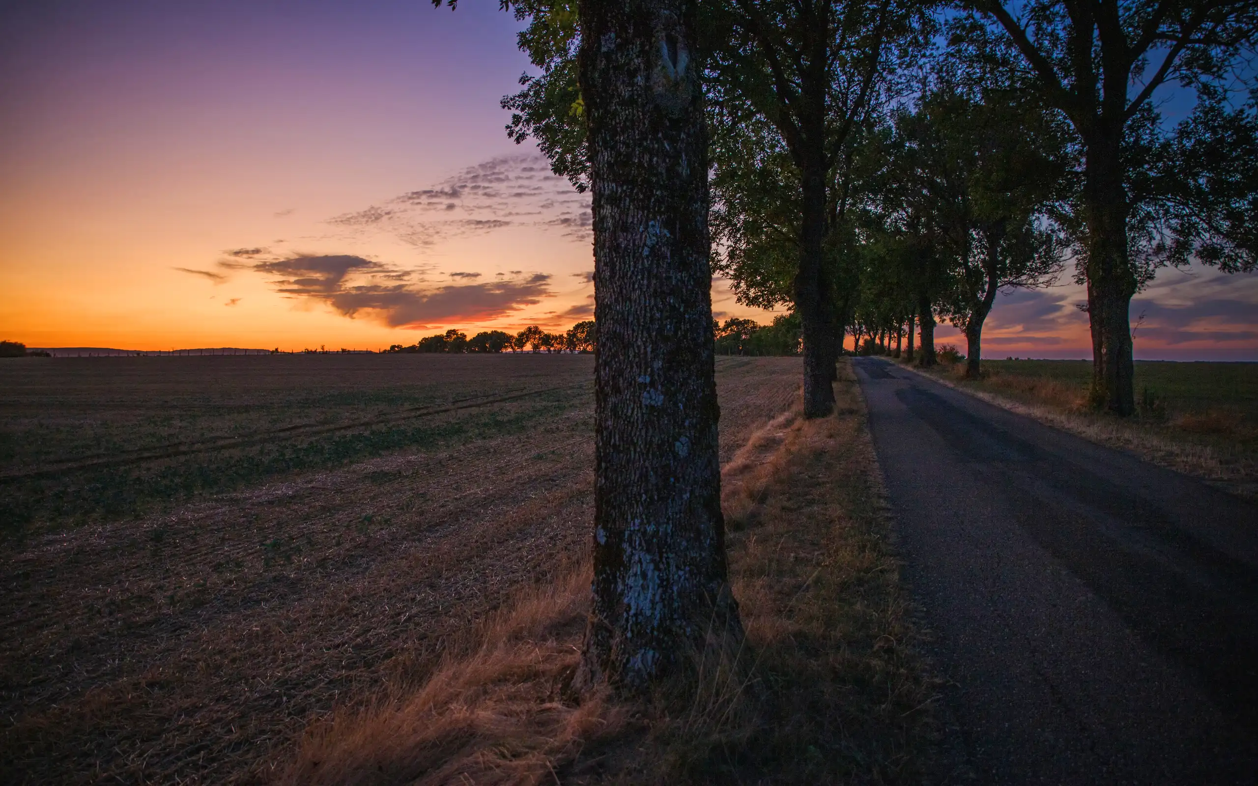 burgund-landschaft-natur-allee