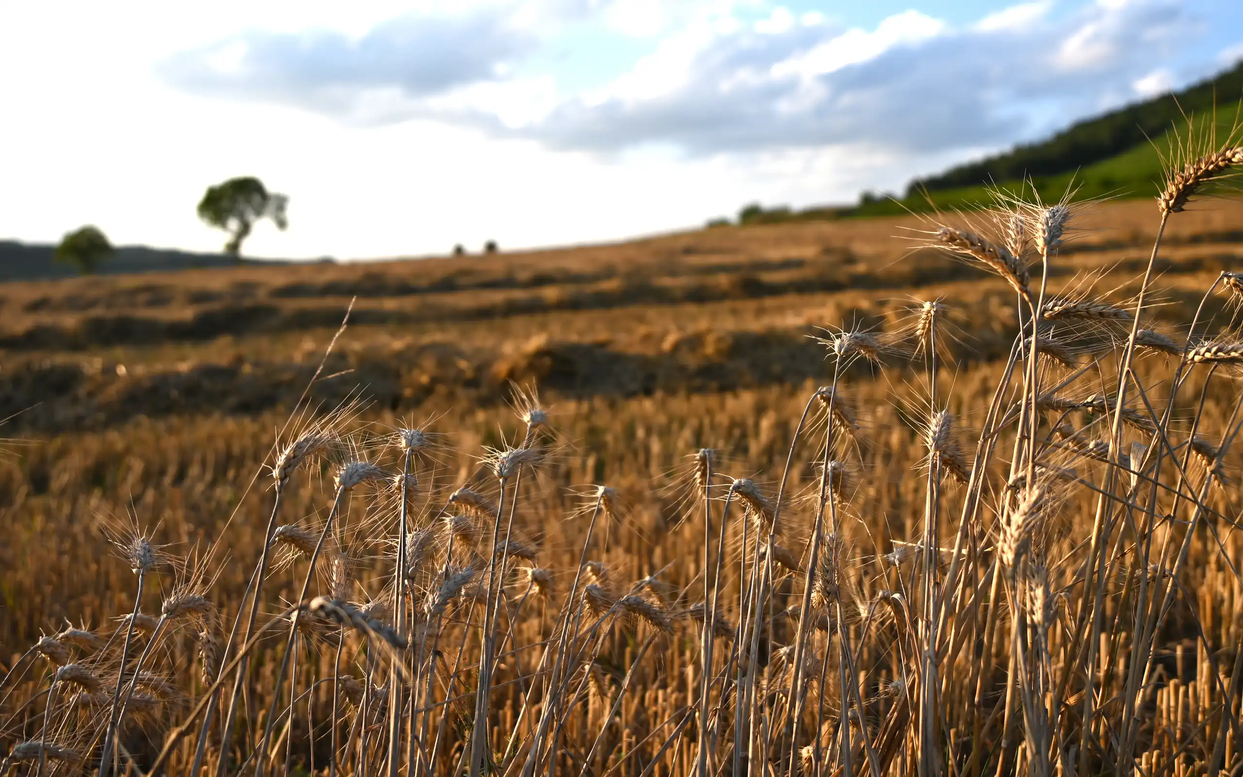 burgund-unterkunft-landschaft