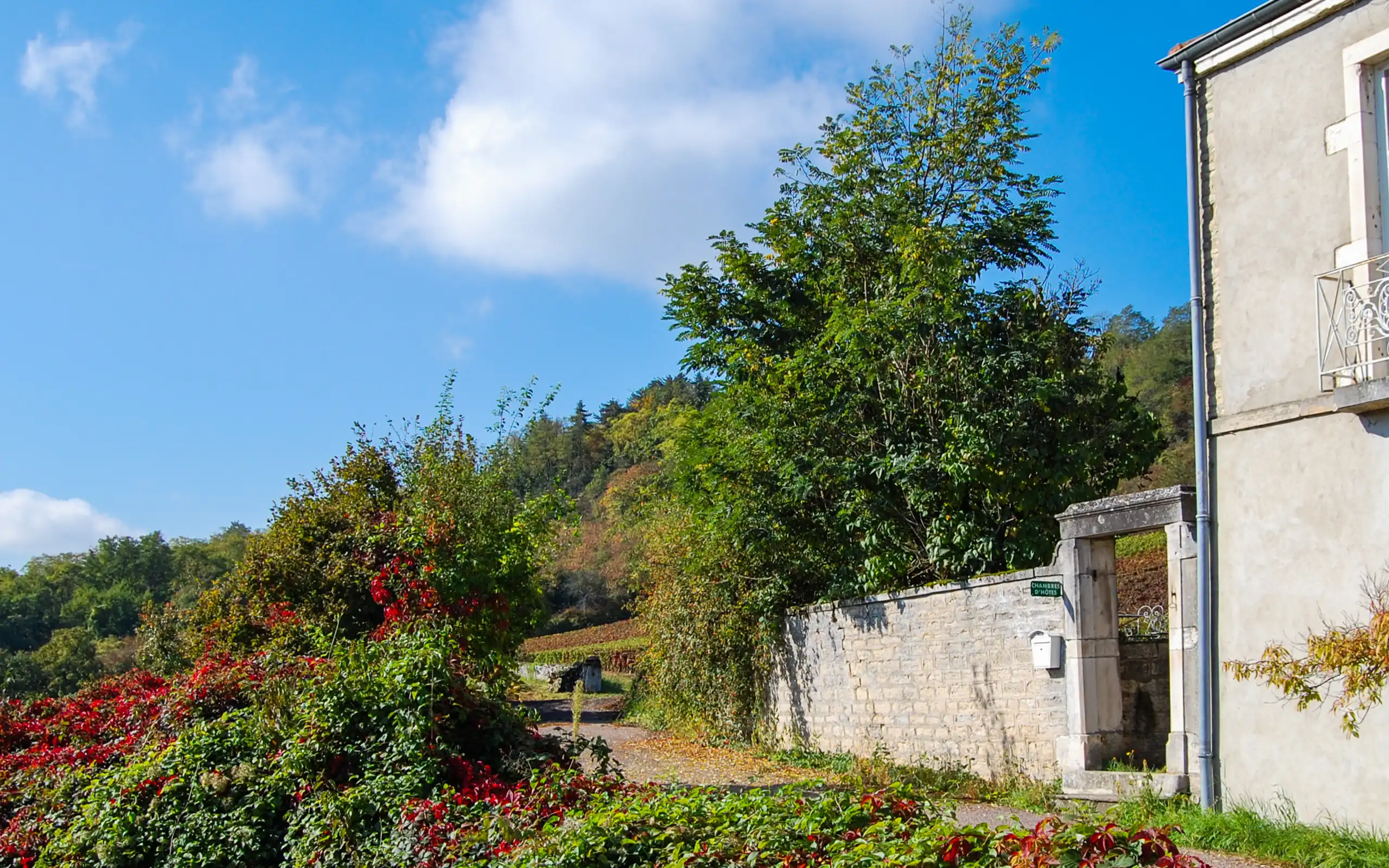 Burgund
