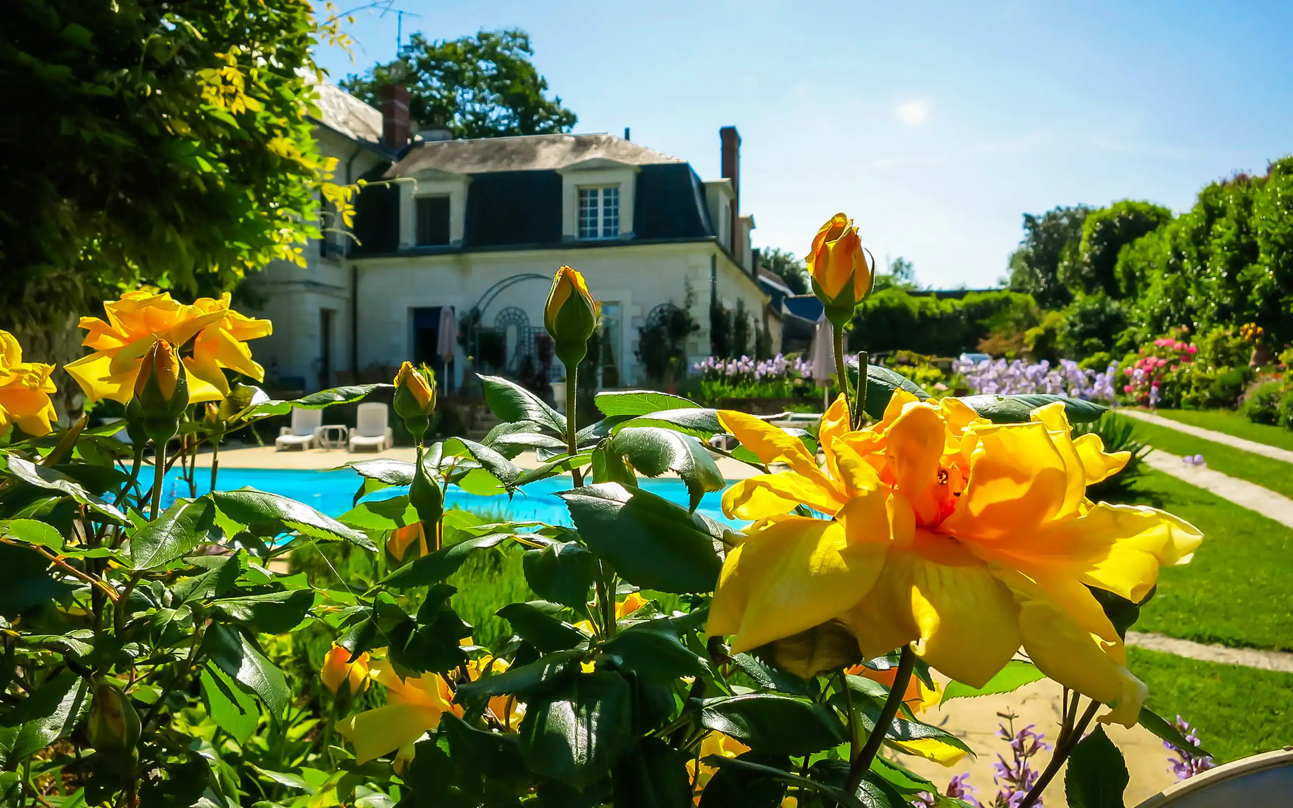 loire-unterkünfte-garten-pool-sommer