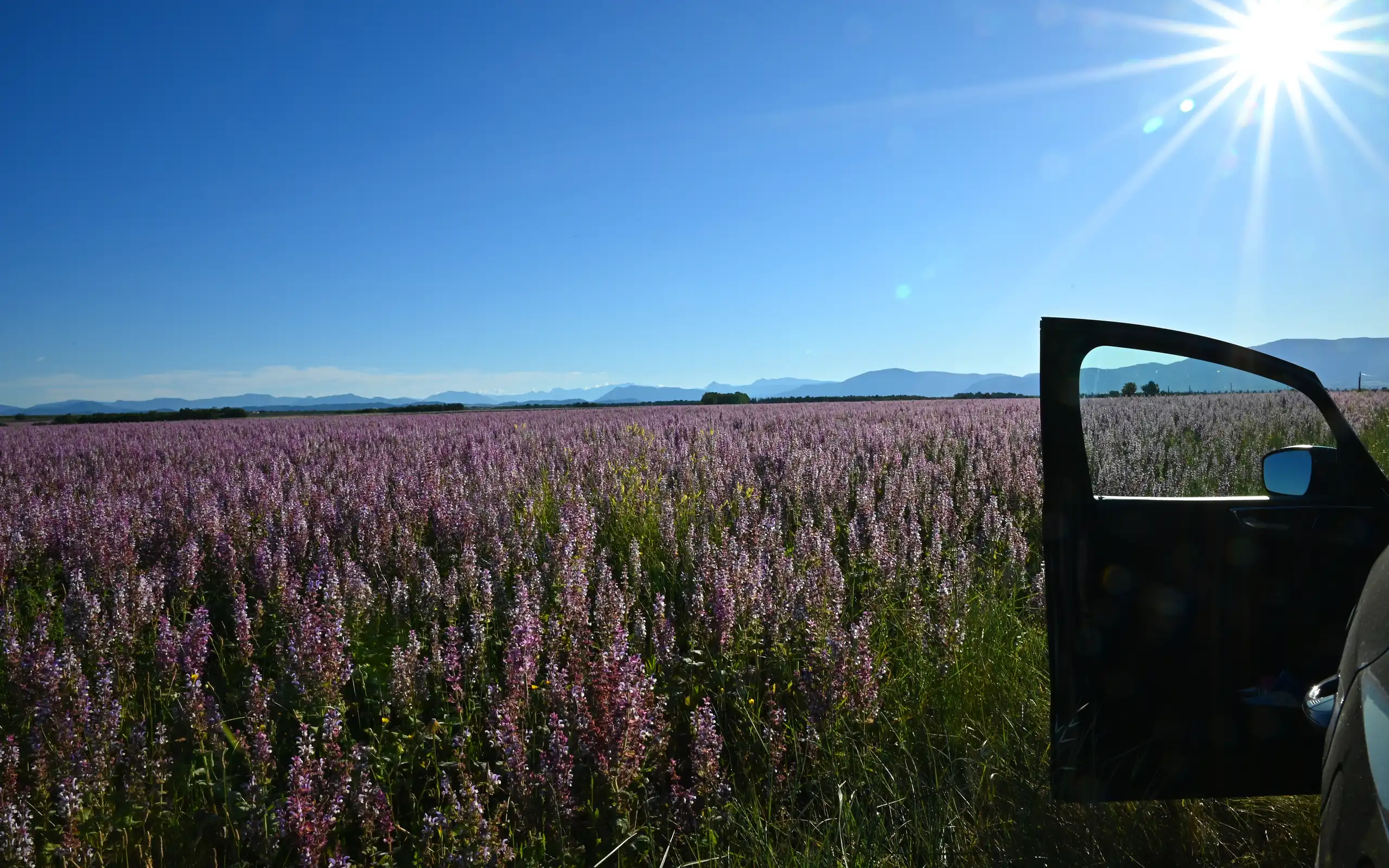 provence-autoreise-landschaft