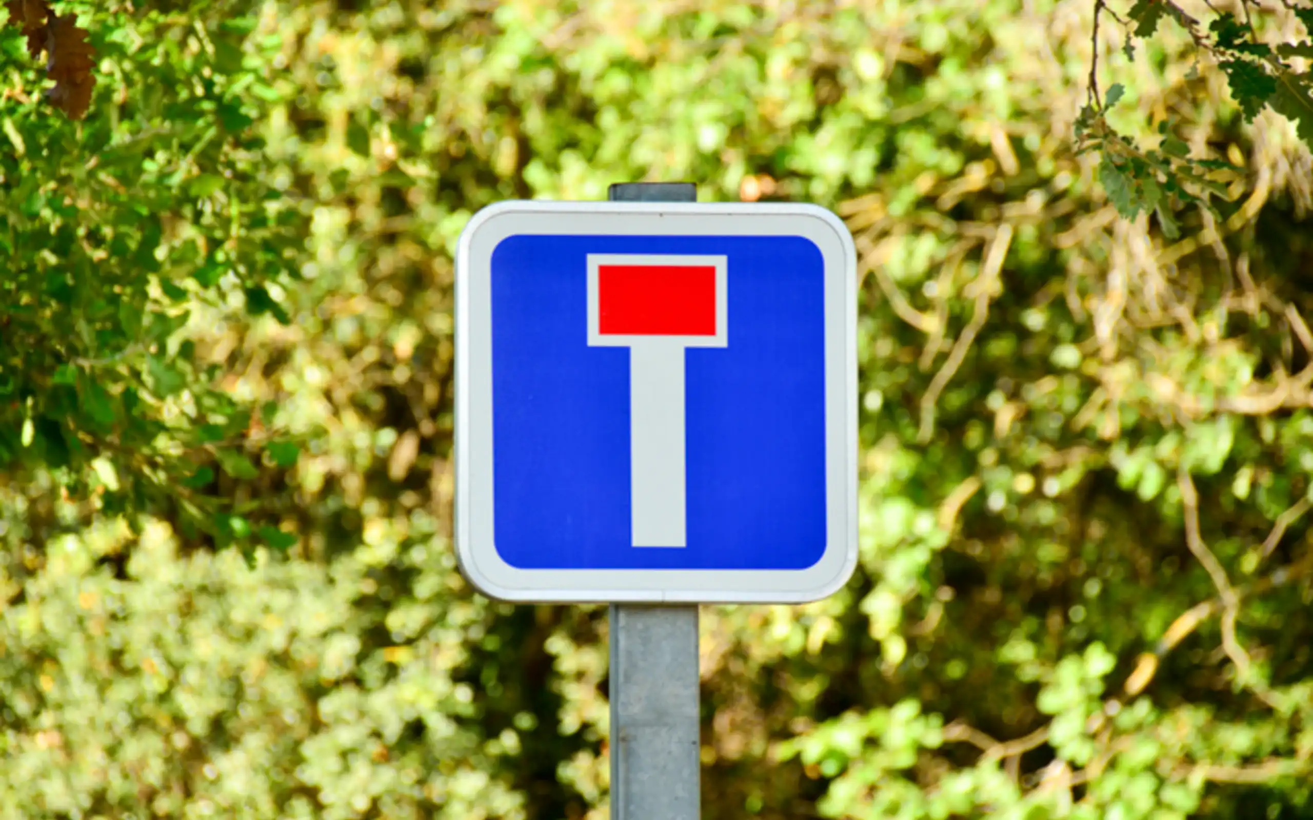 schild