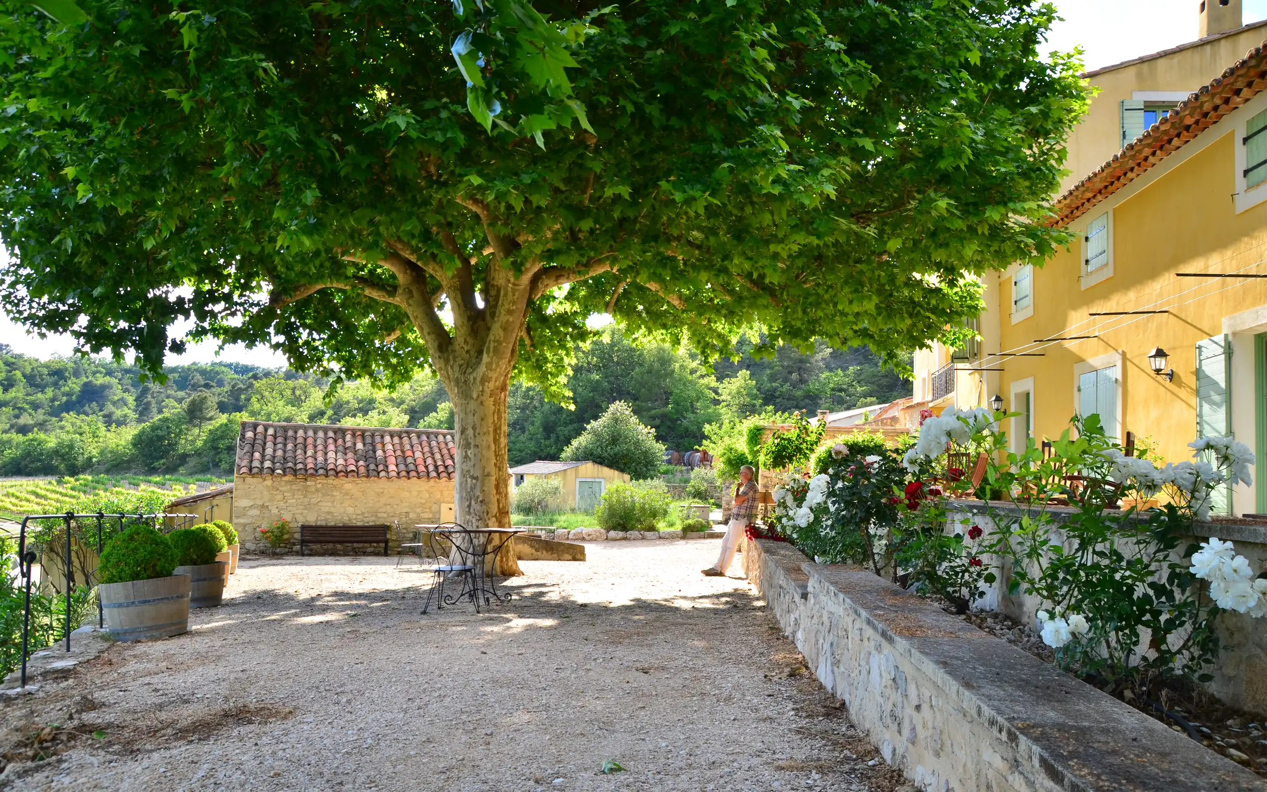 provence-unterkunft-apt