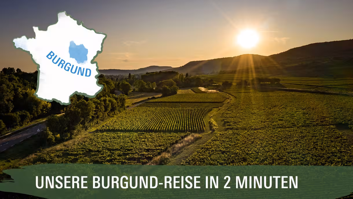 burgund reise urlaub 