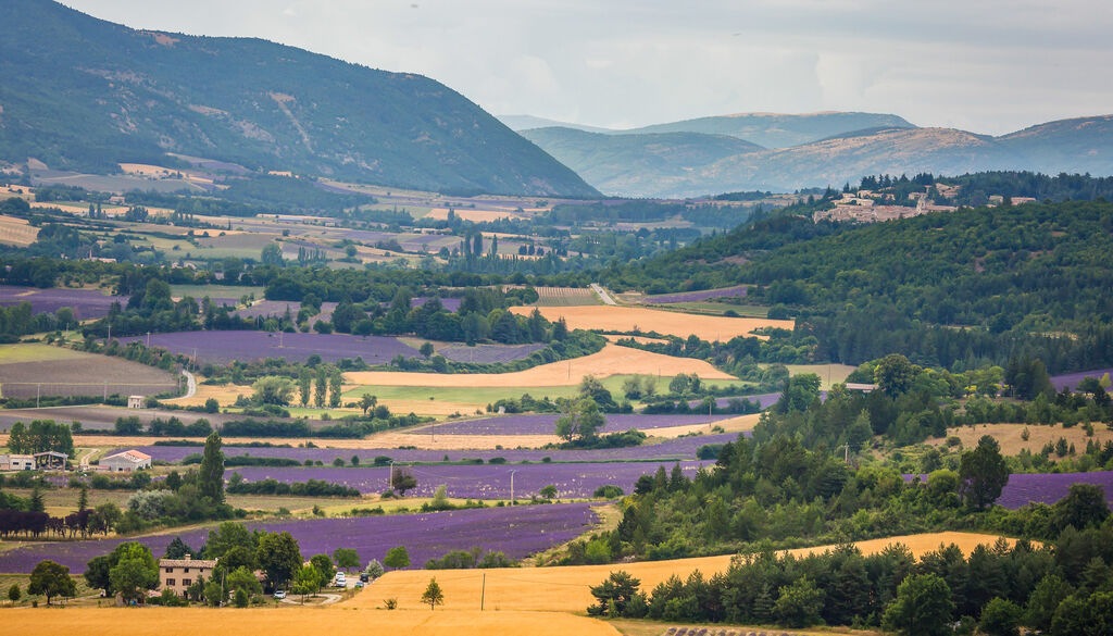 provence-landschaft-lavendelfelder