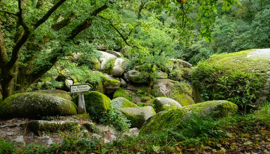 bretagne-landschaft-wald