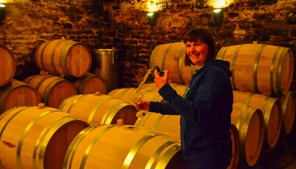 burgund-essen-wein-winzer