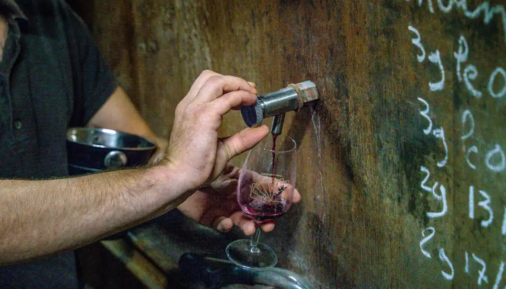 burgund-essen-wein-weinprobe