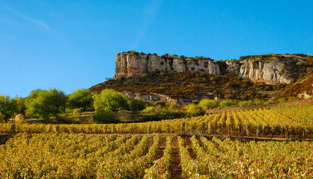 burgund-landschaft-weinberg