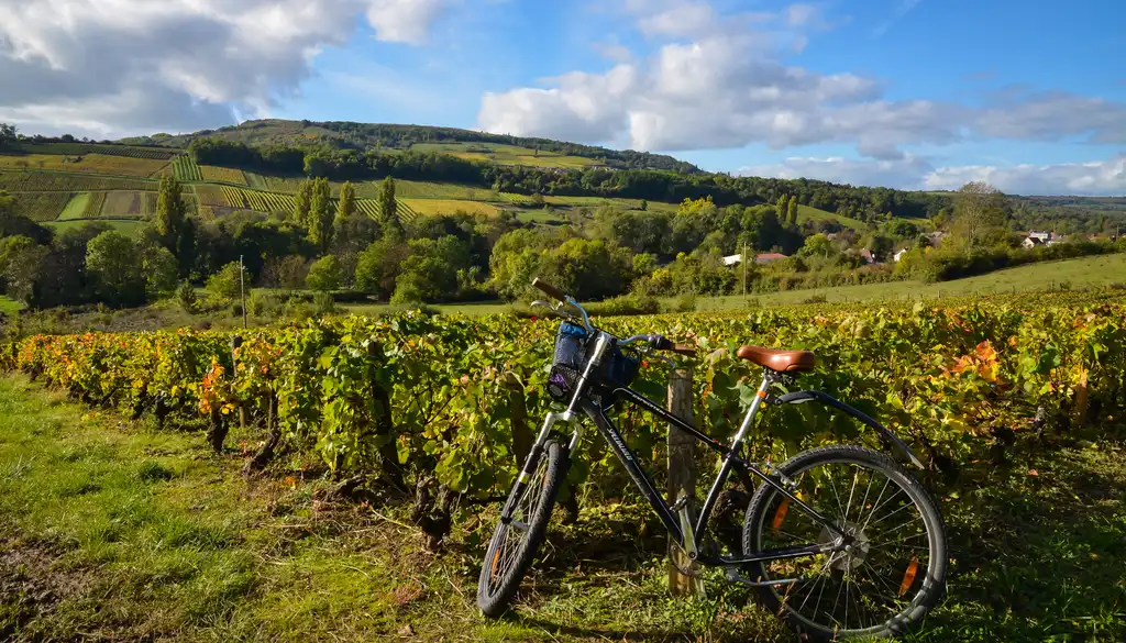 burgund-sonstiges-fahrrad