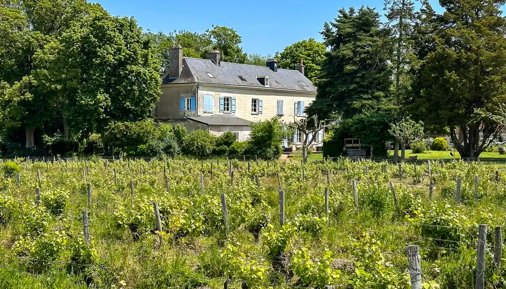 Loire_Pintray_Weinfelder