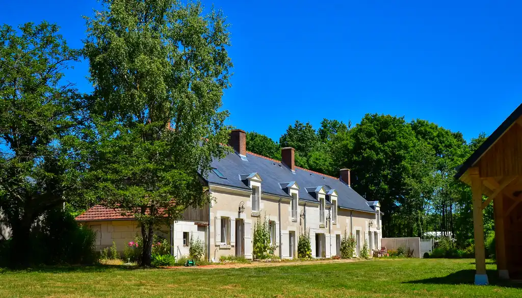 Ein Baum im Garten des Gutshofs in der Loire