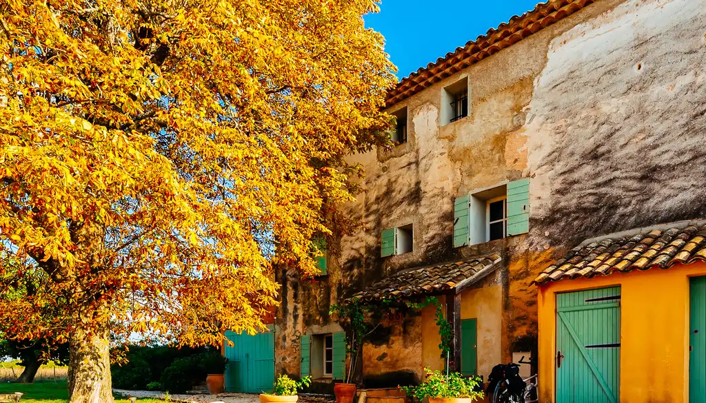 provence-architektur-baum